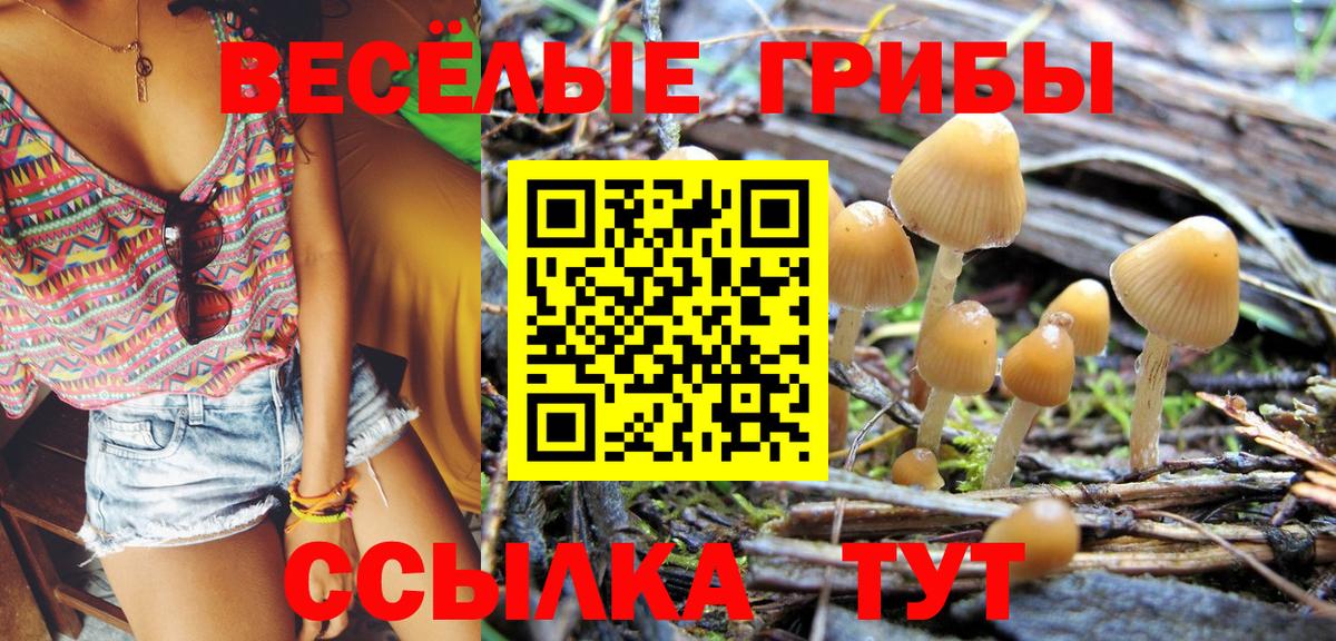 Кинель  Псилоцибиновые грибы GOLDEN TEACHER  Вход с VPN  Псилоцибиновые грибы GOLDEN TEACHER 